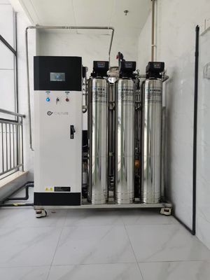 İyi fiyat 10L/Hr 20L/Hr Ticari Ters Osmoz Sistemi Tarımsal Su Filtrasyonu çevrimiçi
